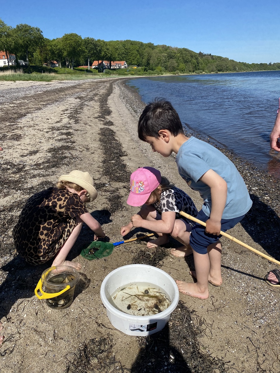 Fiskenet er taget i brug